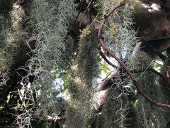 -北京植物园-展览温室