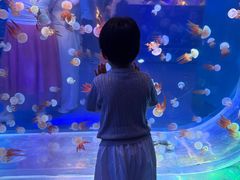 -南昌融创海世界