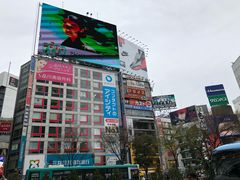 -涩谷区