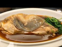 -沈灶河豚宴·河豚融合餐厅(汉中路店)