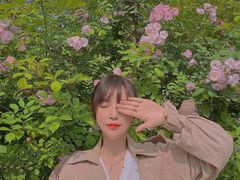 -白鹭湾湿地公园