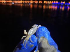 -南汇新城海滩