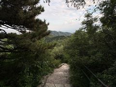 -香山公园