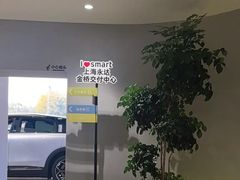 -上海浦东smart汽车全功能店(金桥店)