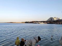 -巧克力渔家.小船海鲜胶东菜(万平口店)