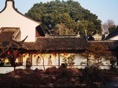 -上海醉白池公园