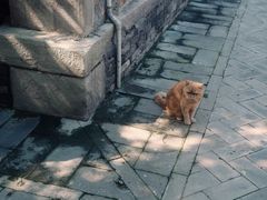 -北坞公园