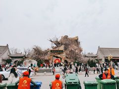 -大槐树寻根祭祖园