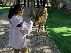 -滆湖低碳生态公园