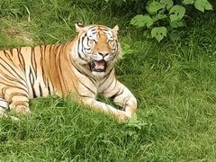 -石家庄市动物园