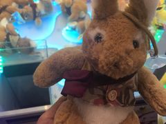 -PAWTOY爪e玩偶店(天兴罗斯福店)