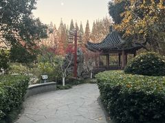 -郑和公园