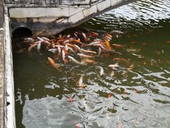 -云南民族大观园