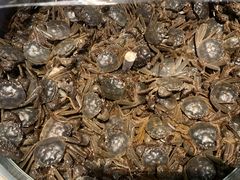 -欢乐牧场海鲜烤肉自助(牡丹园店)