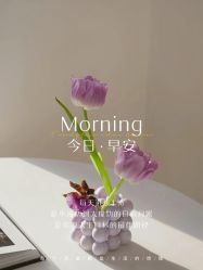-薇薇安花系SPA