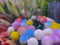 -循礼门鲜花花市(武汉循礼门店)