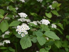 -青龙山国家森林公园