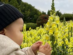 -五通灯塔公园
