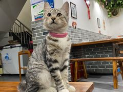 -土灶坊·地锅鸡(周庄店)