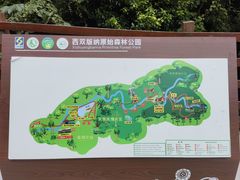 -西双版纳原始森林公园