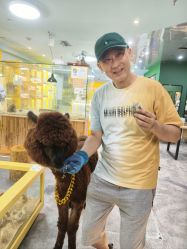 -神奇动物撸宠馆·羊驼·小浣熊·异宠(豫园店)