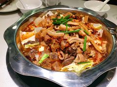 -古乐牛香·鲜牛肉牛杂火锅(吴江三里桥运东商业广场店)