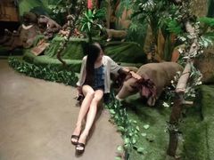 -济州岛泰迪熊博物馆