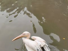 -广州长隆飞鸟乐园