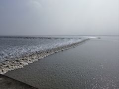 -观潮胜地公园
