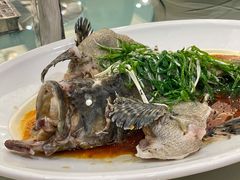 清蒸笋壳鱼-海逸海鲜酒家(古北店)