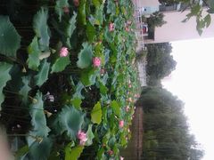 android_upload_pic-湖北经济学院-图书馆