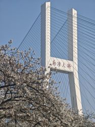 -上海时光整形外科医院