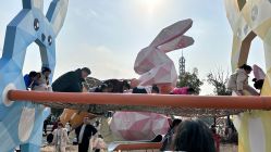 点击看大图 -季高兔窝窝亲子园(上海薰衣草公园店)