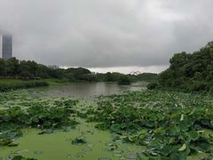 -艾溪湖湿地公园