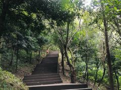 -凤栖山