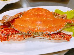 -东海渔村海鲜码头大排档