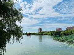 -济南大明湖景区