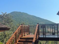 -三亚亚龙湾人间天堂鸟巢度假村