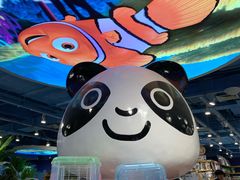 -龟与熊猫宠物公园(南坪店)