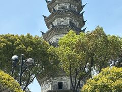 -苏州上方山国家森林公园