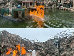 -中华恐龙园