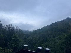 -野象谷景区