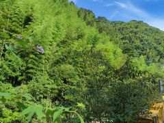 -藏龙百瀑风景区