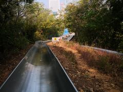 -富斯特索道