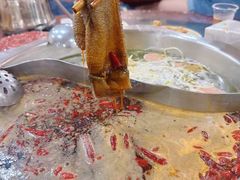 -储奇门鳝鱼火锅(总店)