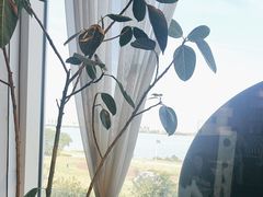 -漾花汐·西餐·下午茶(苏州湾歌林公园店)