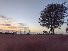 -汉长安城未央宫国家考古遗址公园