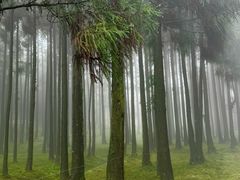 -玉苍山国家森林公园