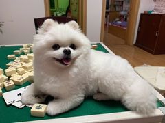-美迦爱-牙专科·兔科·骨科诊疗中心(北苑店)