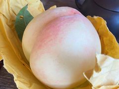 -南汇新场正宗水蜜桃采摘